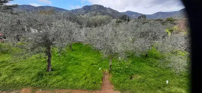 Paesaggio naturale nelle vicinanze dell'appartamento