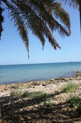 Paesaggio naturale nelle vicinanze della villa