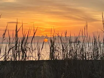 Paesaggio naturale nelle vicinanze della villa