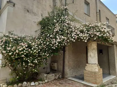 Planimetria di Villa Carboni