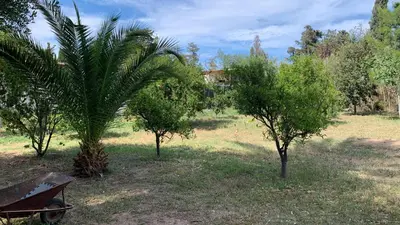 Giardino di Villa Lidia