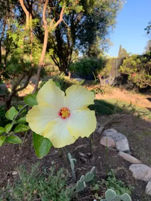 Giardino di Villa Lidia