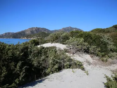 Paesaggio naturale nelle vicinanze dell'appartamento