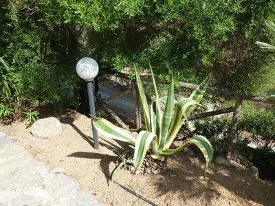 Giardino di Villa Anna Maria