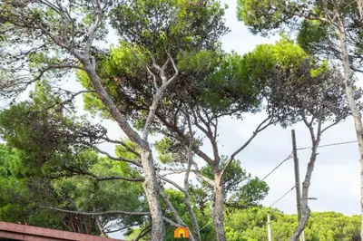 Giardino di Villa Le Sirene on the beach