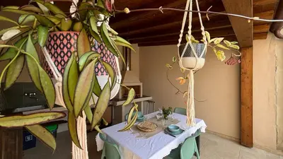 Bevande di Le Pavoncelle