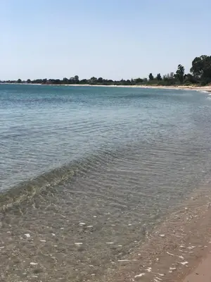 Paesaggio naturale nelle vicinanze della villa