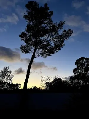 Paesaggio naturale nelle vicinanze della villa