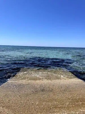 Paesaggio naturale nelle vicinanze della villa