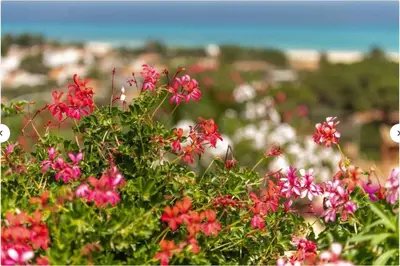 Paesaggio naturale nelle vicinanze della casa vacanze