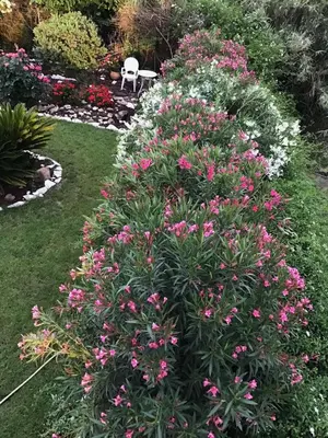 Giardino di Les Lauriers, chambre d'hôtes