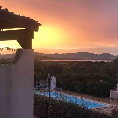 Paradise il Geco