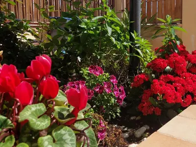 Giardino di Elmas Room