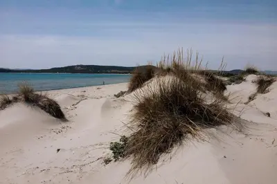 Paesaggio naturale nelle vicinanze della casa vacanze