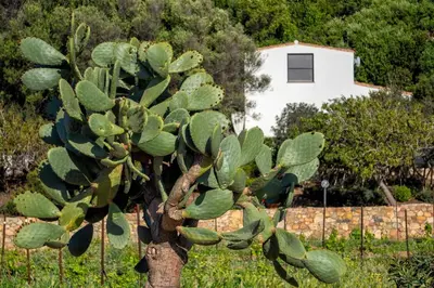 Giardino di La PAVONCELLA 1