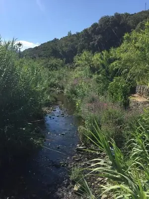 Paesaggio naturale nelle vicinanze della casa vacanze