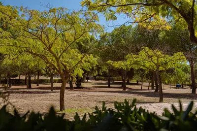 Paesaggio naturale nelle vicinanze dell'affittacamere