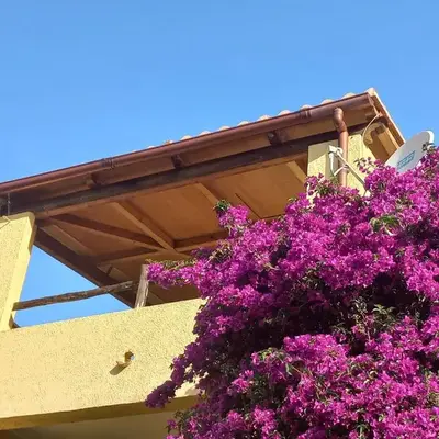 Alessandro&Dina's House