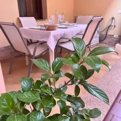 Cozy house with terrace in Pula