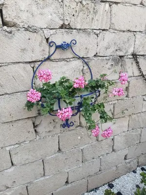 Planimetria di La Casetta