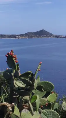 Paesaggio naturale nelle vicinanze dell'appartamento