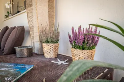 Area soggiorno di Villa Olga con accesso privato alla spiaggia di Nora