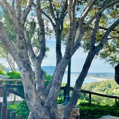 Villa Azzurra a due passi dal mare
