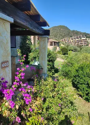 Vista generica sulle montagne o vista sulle montagne dall'interno della casa vacanze