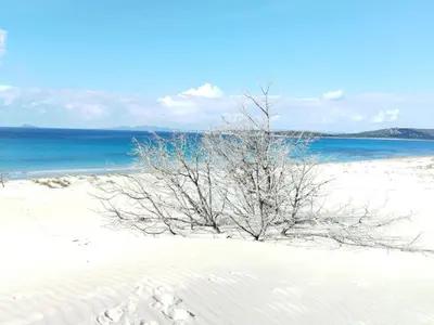 Paesaggio naturale nelle vicinanze dell'appartamento