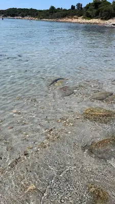 Paesaggio naturale nelle vicinanze della casa vacanze