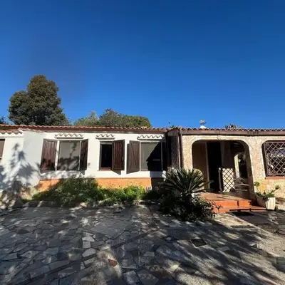 Solanas