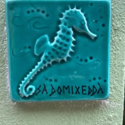 Sa Domixedda di Caterina