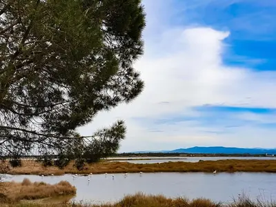 Paesaggio naturale nelle vicinanze della casa vacanze