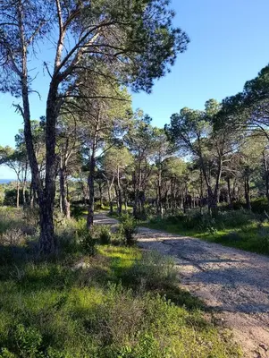 Paesaggio naturale nelle vicinanze dell'appartamento