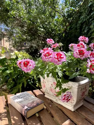 Giardino di DOMU ANTIGA COLLINAS Encantadora Casa Sarda con Patio privado-Hasta 5 Huéspedes