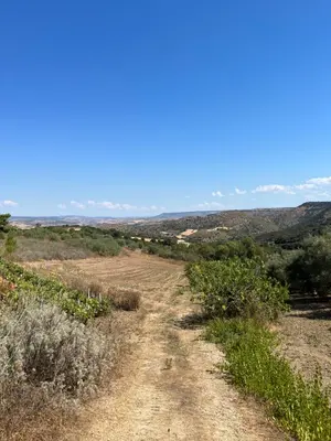 Paesaggio naturale nelle vicinanze della casa vacanze