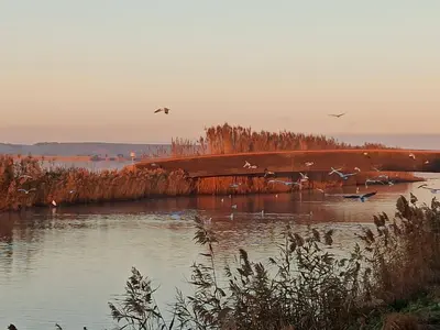 Paesaggio naturale nelle vicinanze della casa vacanze