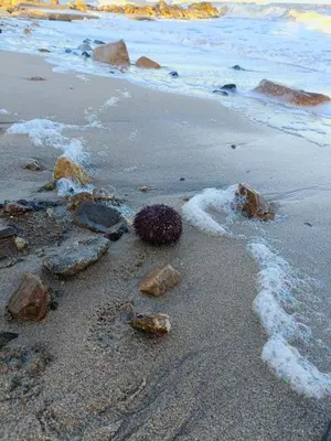 Paesaggio naturale nelle vicinanze dell'affittacamere