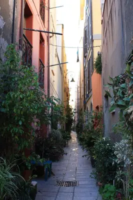 Il quartiere o una zona nella vicinanze dell'appartamento