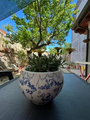 Giardino di Dimora Cabiria