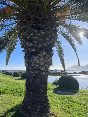 Paesaggio naturale nelle vicinanze dell'appartamento