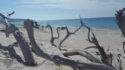 Paesaggio naturale nelle vicinanze della casa vacanze
