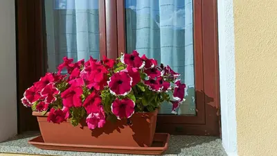Planimetria di Casa Vacanza Margherita