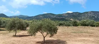 Paesaggio naturale nelle vicinanze dell'appartamento