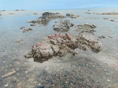Paesaggio naturale nelle vicinanze dell'appartamento