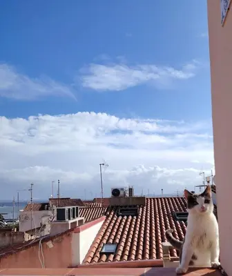 Ospiti di Casa Carla Maria - Da e Nònne con animali domestici