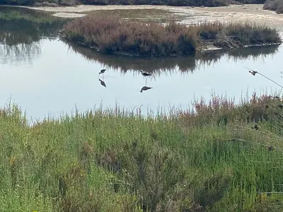 Paesaggio naturale nelle vicinanze della villa