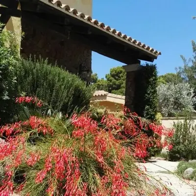 Villa Holiday Home