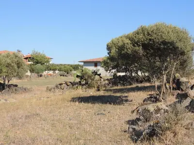 Paesaggio naturale nelle vicinanze del bed & breakfast