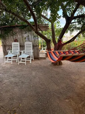 Giardino di Casa Mimosa